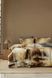 Постільна білизна First Choice 3D Satin 200&times;220 Angora 2877 фото 1
